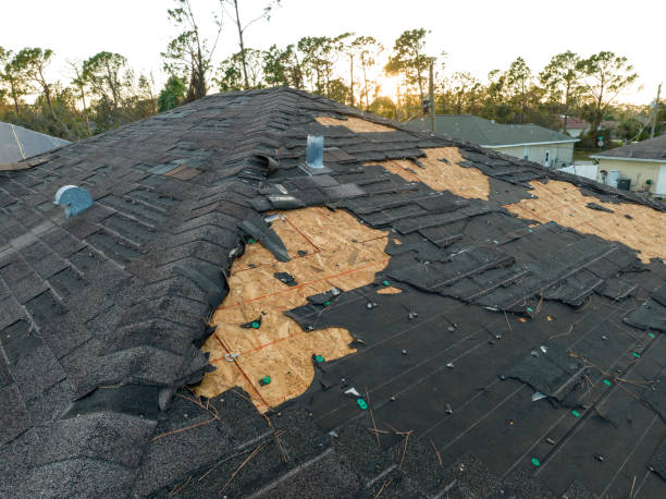 Best Slate Roofing  in Hutto, TX